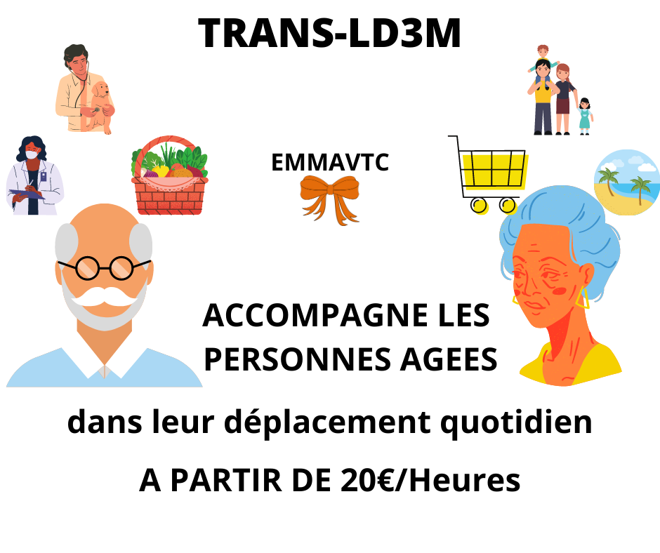 TRANS-LD3M.COM (11) trans-ld3m